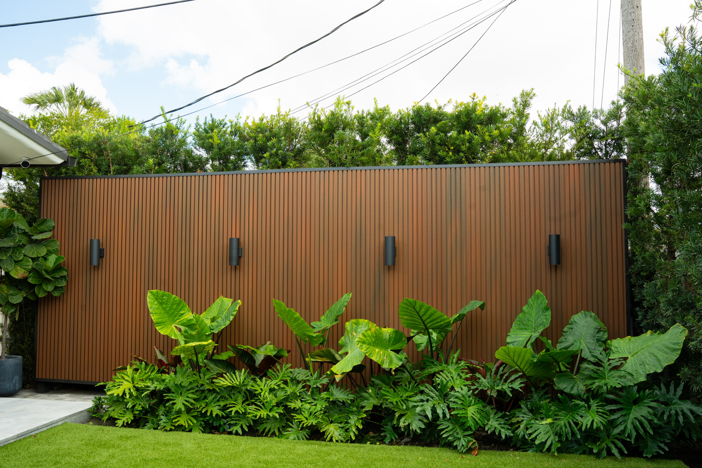 Composi Wood Texture — 1